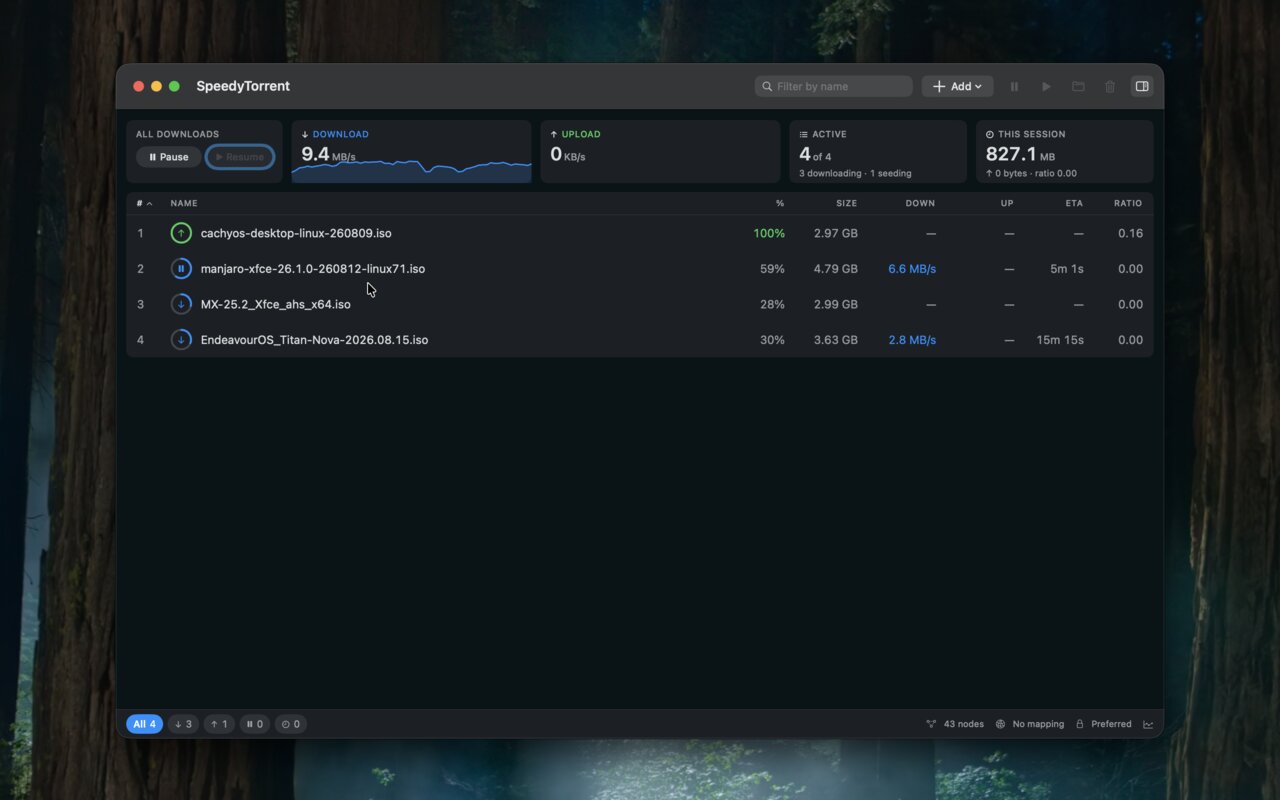 Downloads, seeds, queue and swarm health in one window
